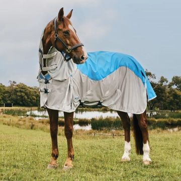 Weatherbeeta Rug Dual Shield ComFiTec-125 | 175 cm
