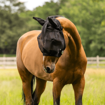 Weatherbeeta Fly Mask ComFiTec Double Dart Deluxe With Ears