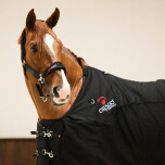 Catago halster fir tech