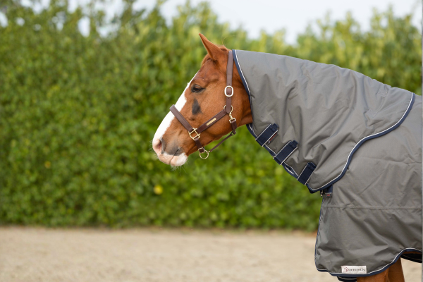 Gratis Halsteil im Wert von 59,95 &euro;